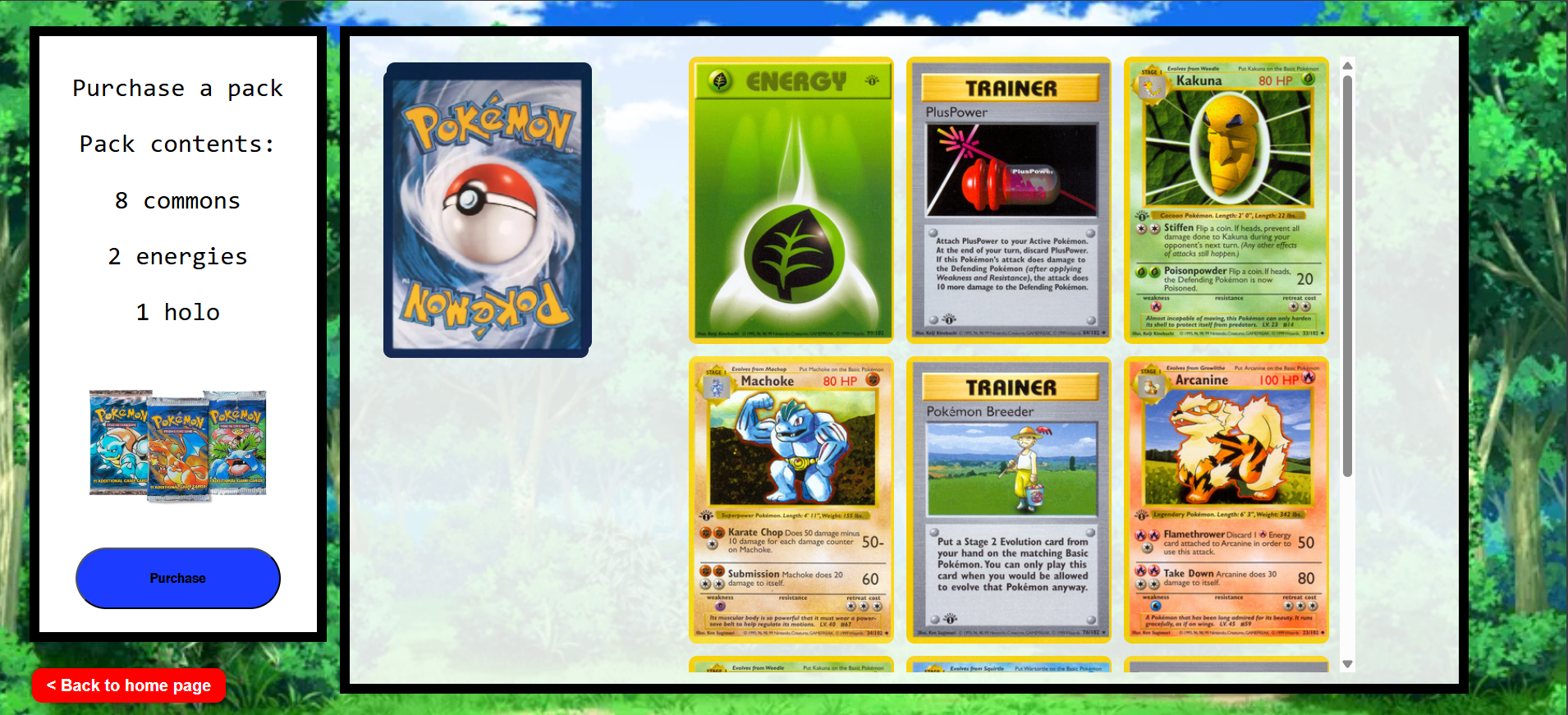 Pokémon project screenshot 2